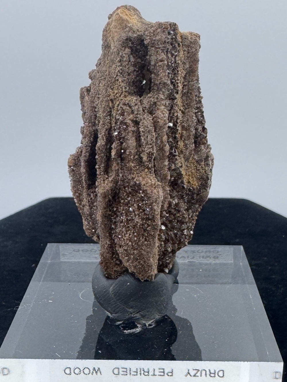 Druzy Petrified Wood Display Piece - Brilliant Alabama - Picture 4 of 6